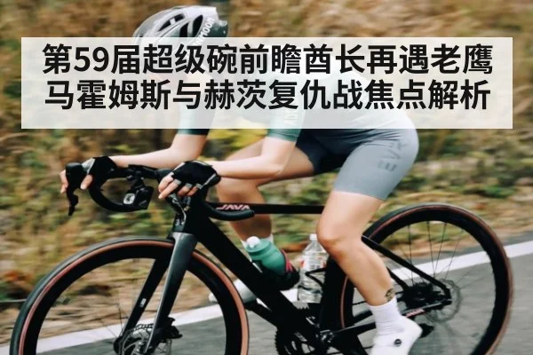 第59届超级碗前瞻酋长再遇老鹰 马霍姆斯与赫茨复仇战焦点解析
